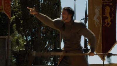 GAME_OF_THRONES_-_E4X08_THE_MOUNTAIN_AND_THE_VIPER_0817.jpg
