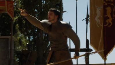 GAME_OF_THRONES_-_E4X08_THE_MOUNTAIN_AND_THE_VIPER_0818.jpg