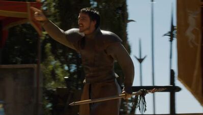 GAME_OF_THRONES_-_E4X08_THE_MOUNTAIN_AND_THE_VIPER_0819.jpg