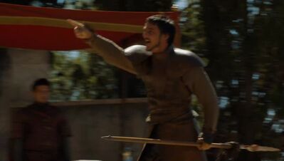 GAME_OF_THRONES_-_E4X08_THE_MOUNTAIN_AND_THE_VIPER_0822.jpg