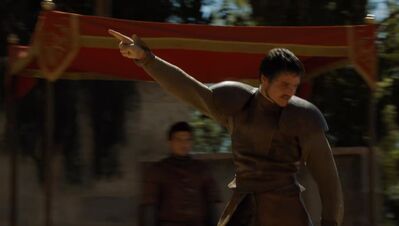 GAME_OF_THRONES_-_E4X08_THE_MOUNTAIN_AND_THE_VIPER_0824.jpg