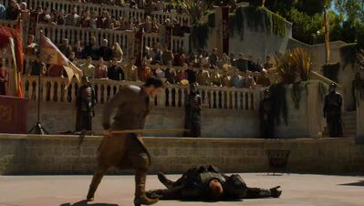 GAME_OF_THRONES_-_E4X08_THE_MOUNTAIN_AND_THE_VIPER_0825.jpg