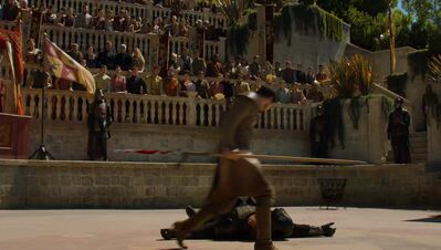 GAME_OF_THRONES_-_E4X08_THE_MOUNTAIN_AND_THE_VIPER_0828.jpg