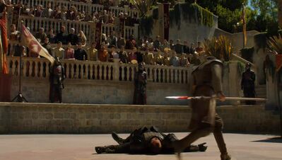 GAME_OF_THRONES_-_E4X08_THE_MOUNTAIN_AND_THE_VIPER_0831.jpg