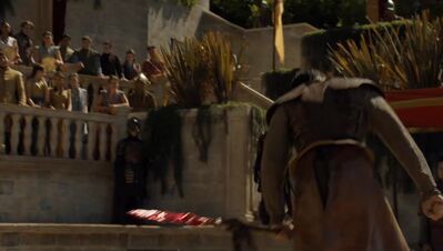 GAME_OF_THRONES_-_E4X08_THE_MOUNTAIN_AND_THE_VIPER_0837.jpg