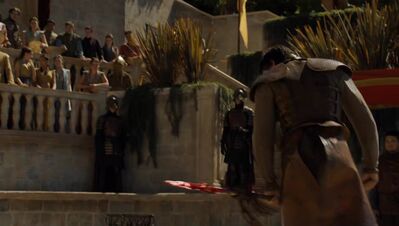 GAME_OF_THRONES_-_E4X08_THE_MOUNTAIN_AND_THE_VIPER_0838.jpg