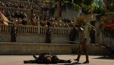 GAME_OF_THRONES_-_E4X08_THE_MOUNTAIN_AND_THE_VIPER_0842.jpg