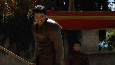 GAME_OF_THRONES_-_E4X08_THE_MOUNTAIN_AND_THE_VIPER_0849.jpg