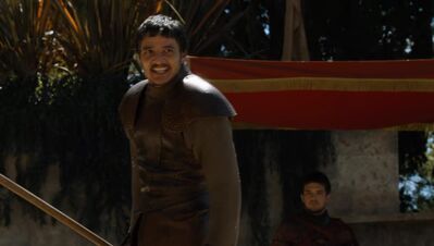GAME_OF_THRONES_-_E4X08_THE_MOUNTAIN_AND_THE_VIPER_0853.jpg
