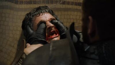 GAME_OF_THRONES_-_E4X08_THE_MOUNTAIN_AND_THE_VIPER_1012.jpg