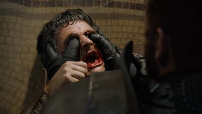 GAME_OF_THRONES_-_E4X08_THE_MOUNTAIN_AND_THE_VIPER_1015.jpg