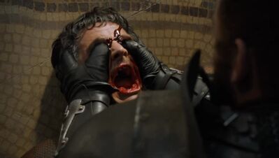 GAME_OF_THRONES_-_E4X08_THE_MOUNTAIN_AND_THE_VIPER_1021.jpg