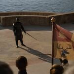GAME_OF_THRONES_-_E4X08_THE_MOUNTAIN_AND_THE_VIPER_0250.jpg