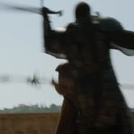 GAME_OF_THRONES_-_E4X08_THE_MOUNTAIN_AND_THE_VIPER_0435.jpg