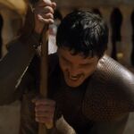 GAME_OF_THRONES_-_E4X08_THE_MOUNTAIN_AND_THE_VIPER_0739.jpg