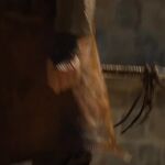 GAME_OF_THRONES_-_E4X08_THE_MOUNTAIN_AND_THE_VIPER_0785.jpg