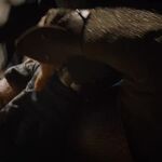 GAME_OF_THRONES_-_E4X08_THE_MOUNTAIN_AND_THE_VIPER_0986.jpg